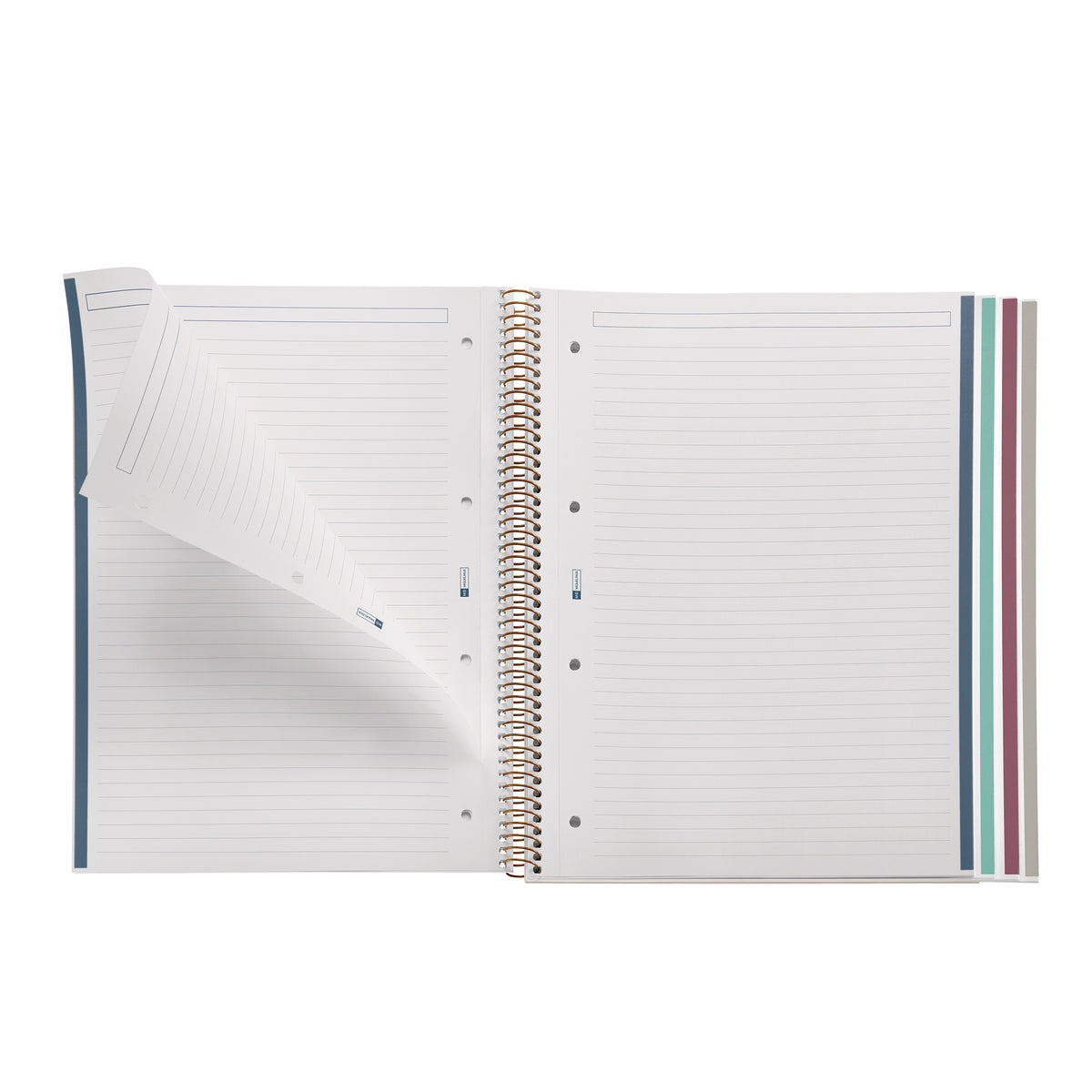 Cahier ligné à spirale A4 – Bloom British Bloom