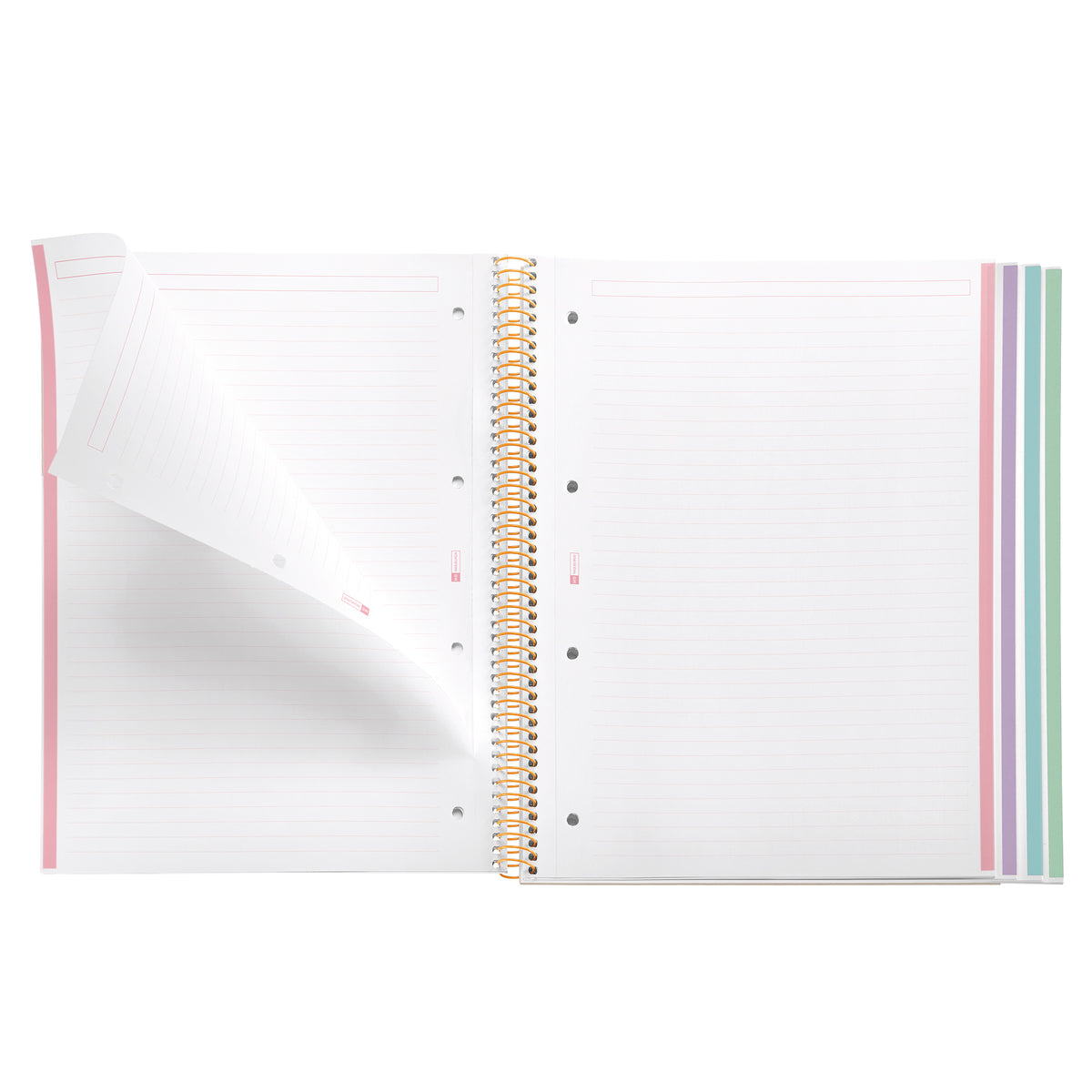 Cahier ligné à spirale A4 – Aquarelle