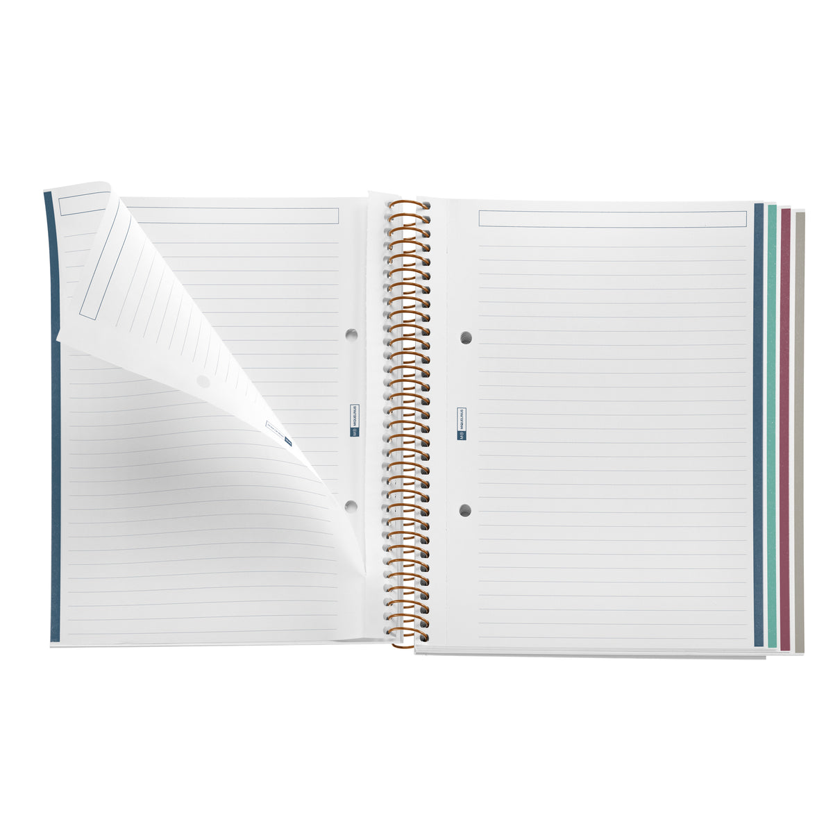 Cahier ligné à spirale A5 – Bloom Field (vert)