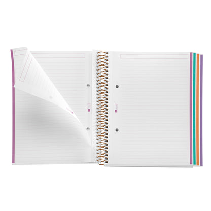 Cahier ligné à spirale A5 – Vintage Daisies (fleur)
