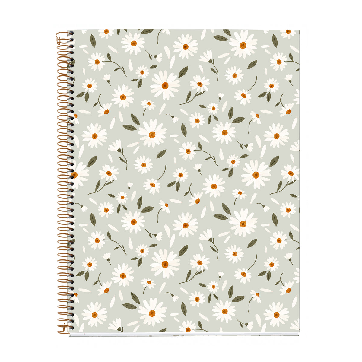 Cahier ligné à spirale A4 – Spring