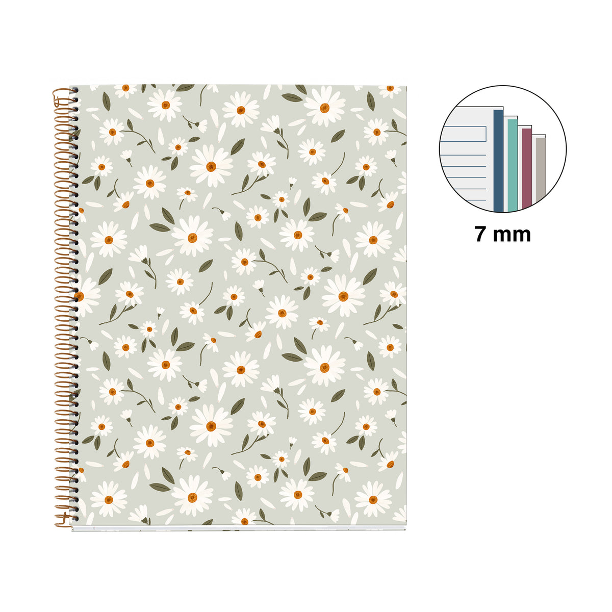 Cahier ligné à spirale A4 – Spring