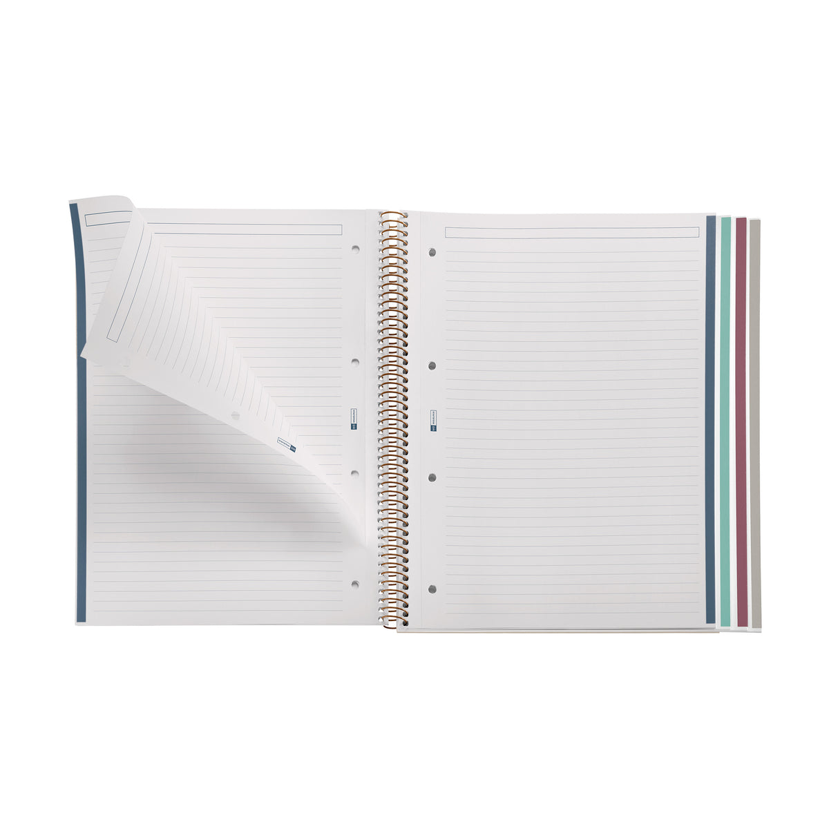 Cahier ligné à spirale A4 – Spring