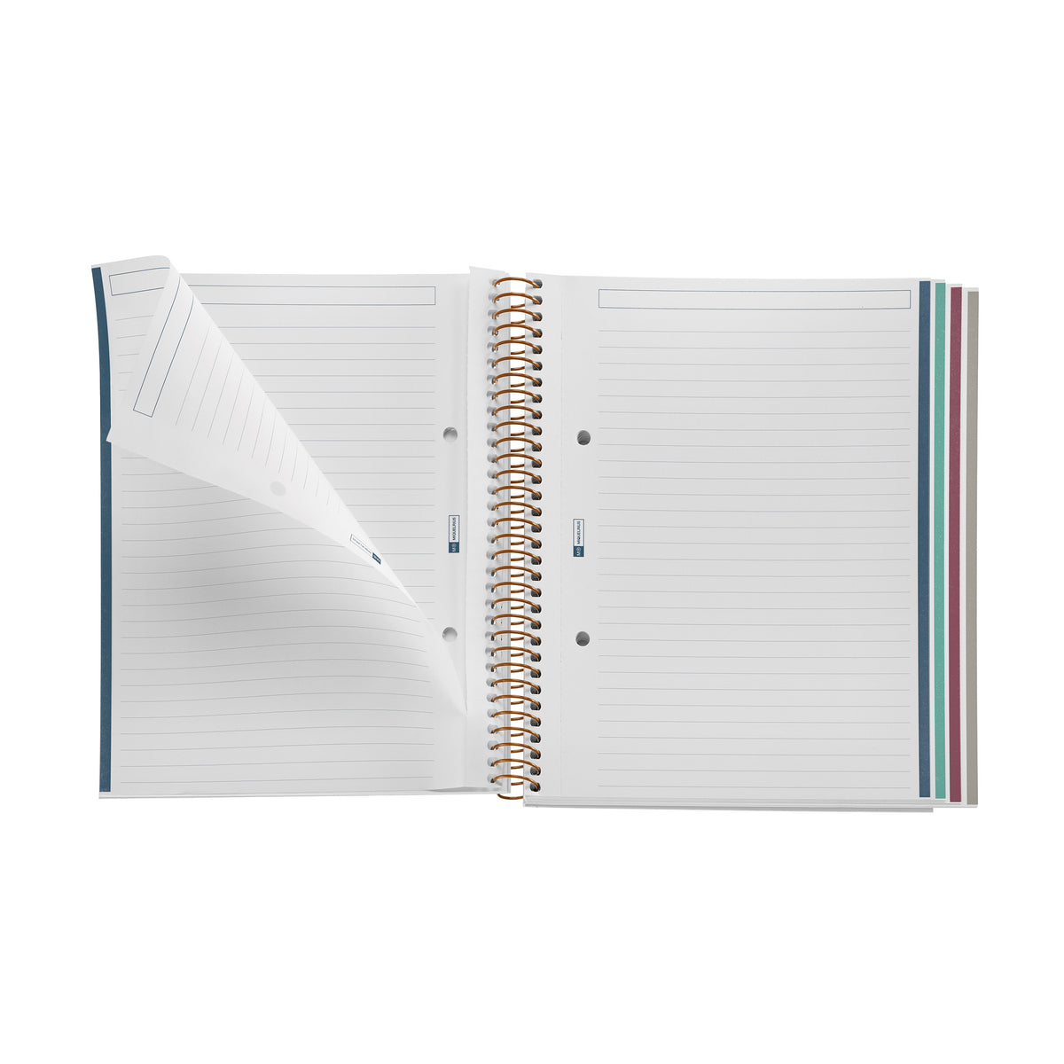 Cahier ligné à spirale A5 – Spring (crème)