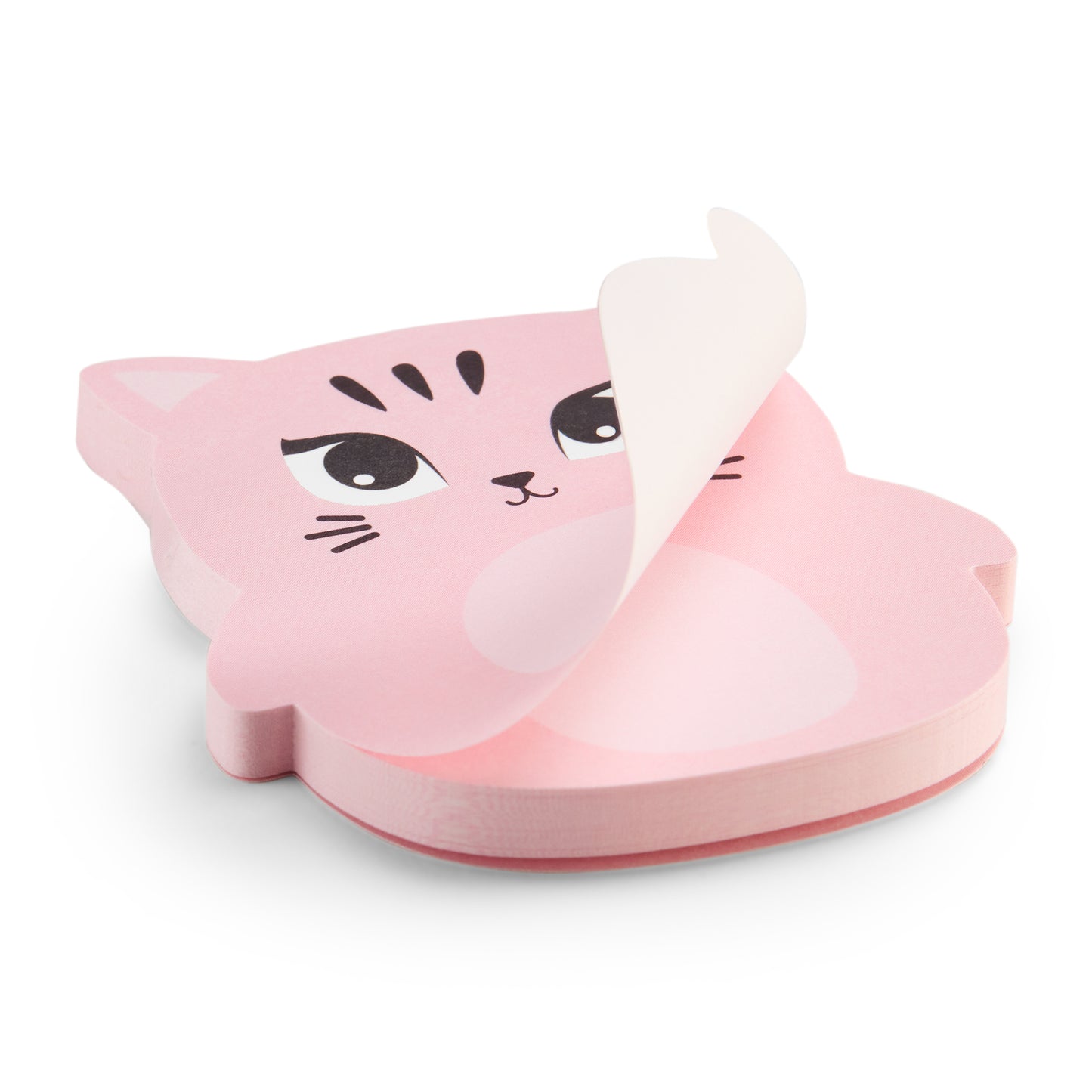 Bloc de notes adhésives – Roar & Write